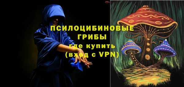 СК Арсеньев