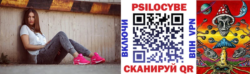 Псилоцибиновые грибы Cubensis как найти закладки Электрогорск