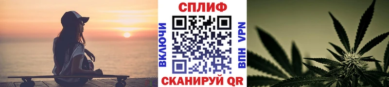 Бошки Шишки планчик  мориарти как зайти  Электрогорск 